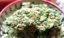 Durban Poison Marijuana Strain