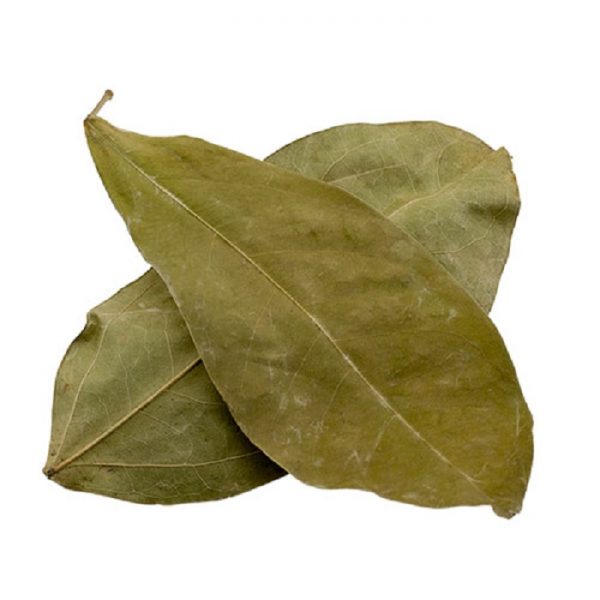 Ajos sacha - Leaves | Mansoa alliacea