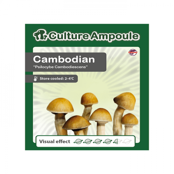 Buy Cambodian - Culture Ampoule online