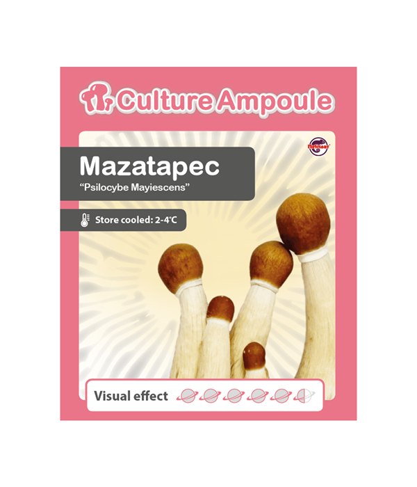 Buy Mazatapec - Culture Ampoule