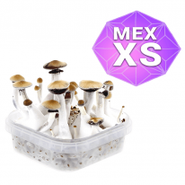 Buy Mexican Growkit - Xs online