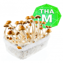 Thai Growkit - Medium online