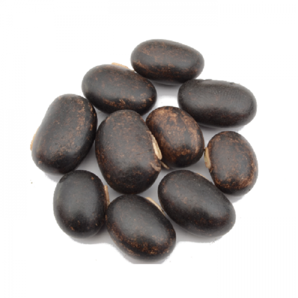 Mucuna Pruriens (velvet Beans) 10 Beans