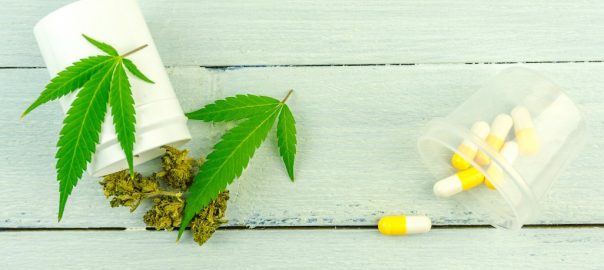 cannabis buds and prescription pills